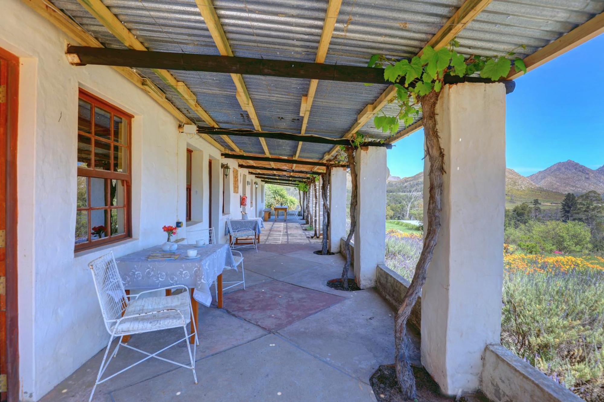 Over The Mountain Guest Farm George Exterior foto